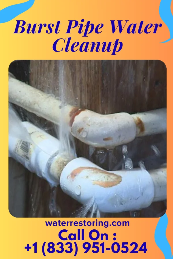 Burst Pipe Water Cleanup in Faith, SD
