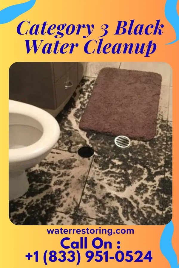Category 3 Black Water Cleanup in Faith, SD