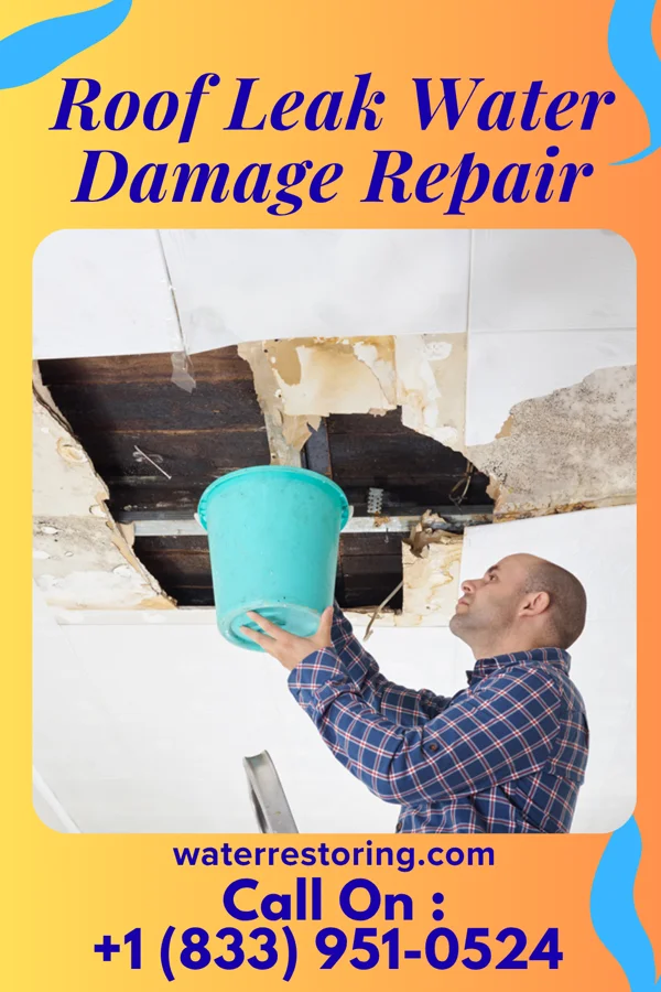 Roof Leak Water Damage Repair in Faith, SD